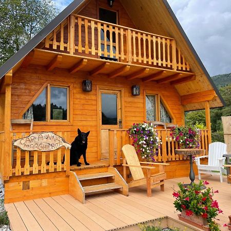 Agri Camp Dolomiti Apartment Belluno Bagian luar foto