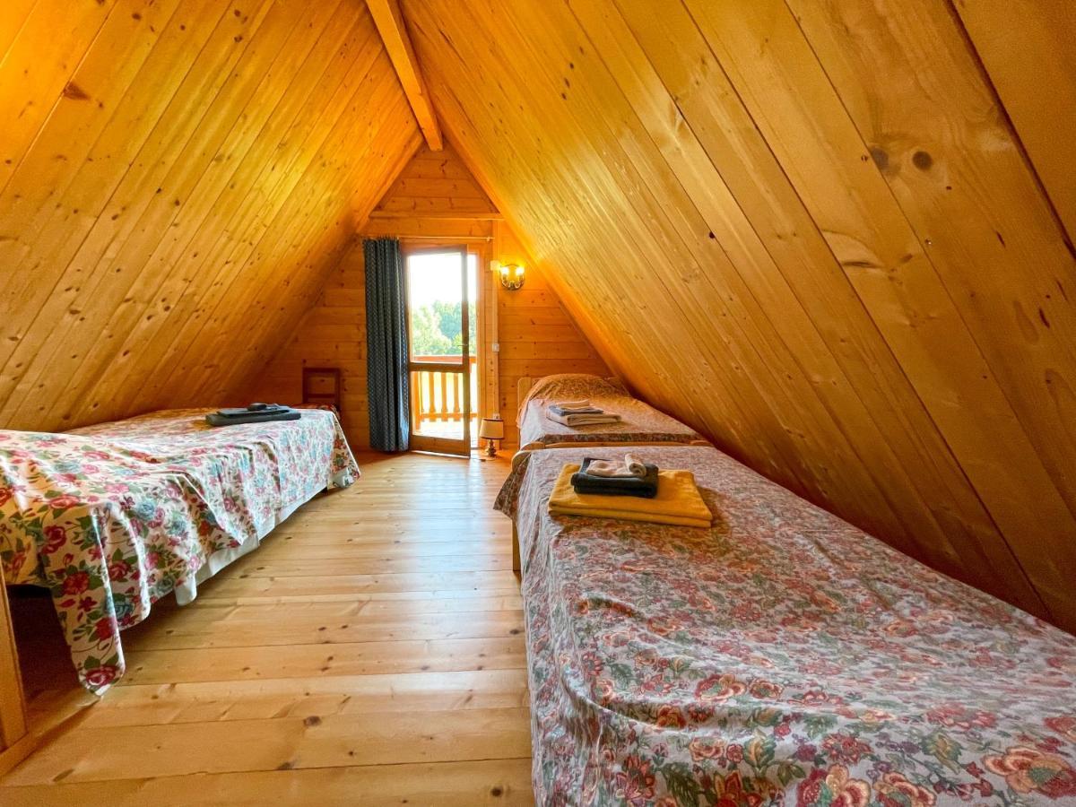 Agri Camp Dolomiti Apartment Belluno Bagian luar foto