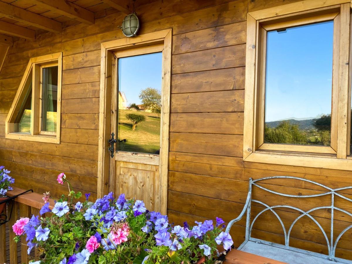 Agri Camp Dolomiti Apartment Belluno Bagian luar foto