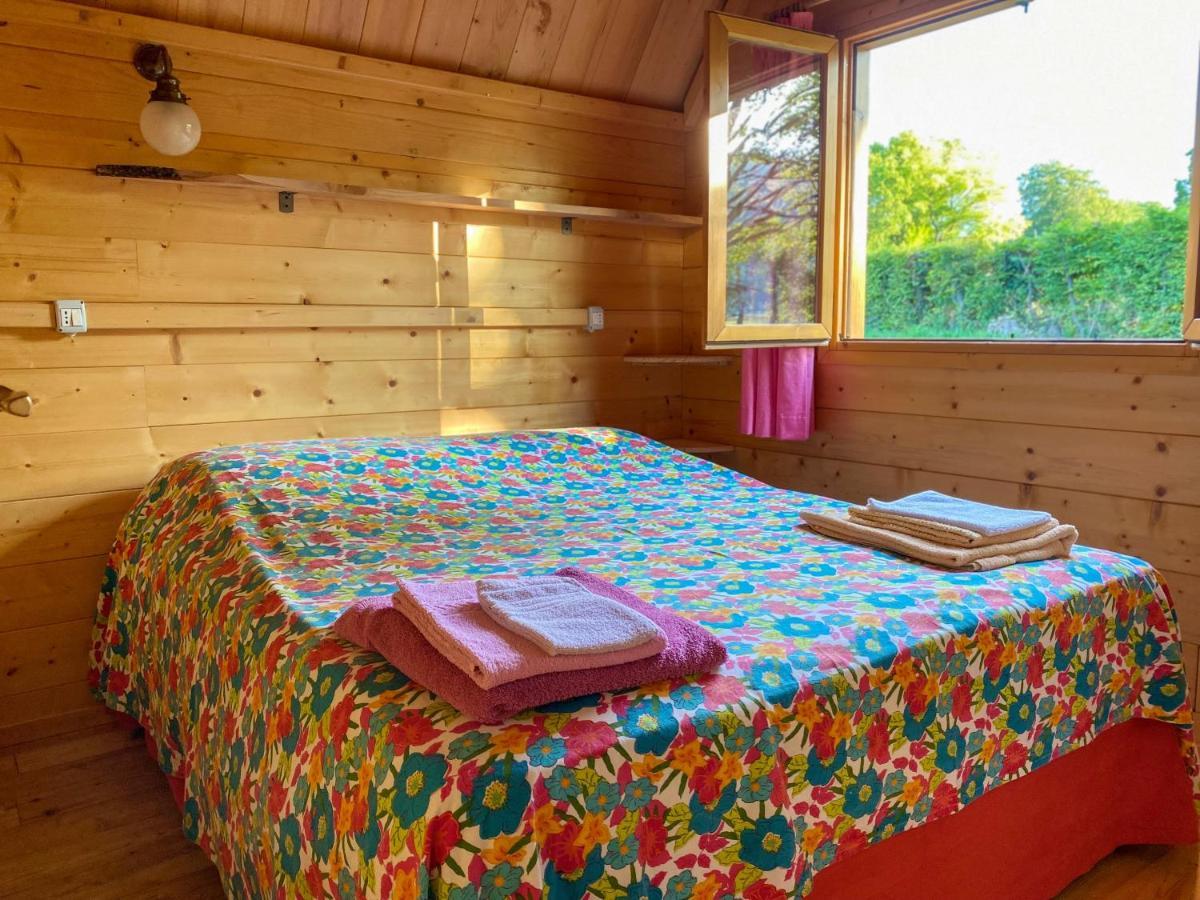 Agri Camp Dolomiti Apartment Belluno Bagian luar foto
