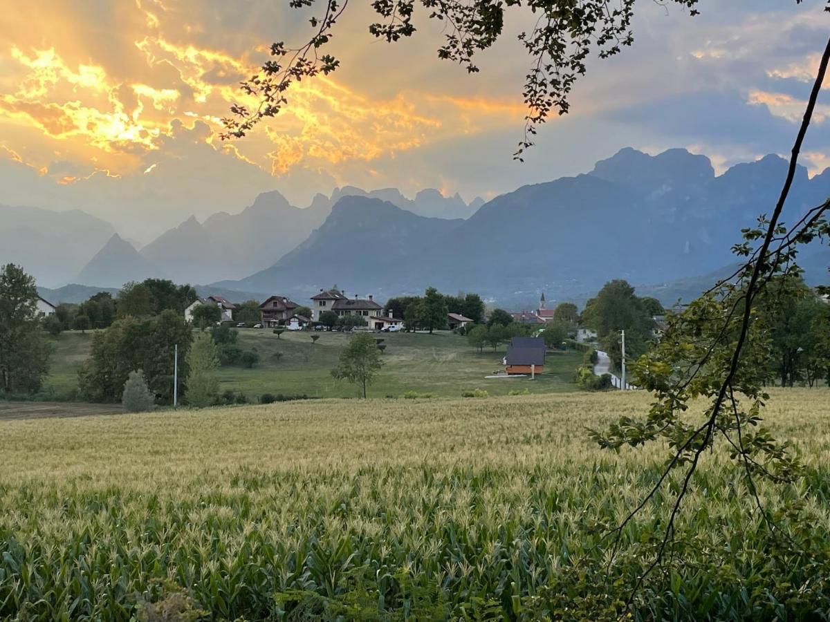 Agri Camp Dolomiti Apartment Belluno Bagian luar foto