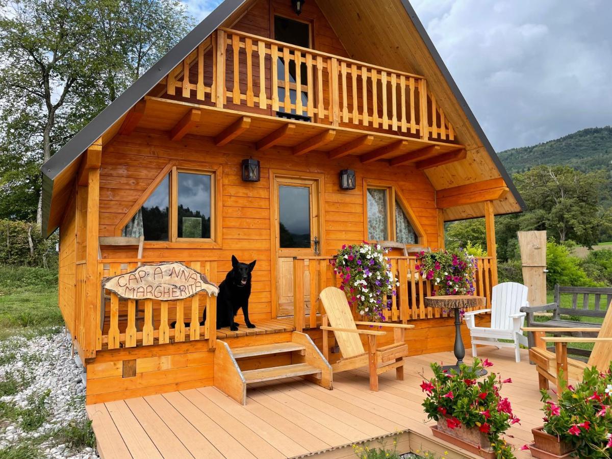 Agri Camp Dolomiti Apartment Belluno Bagian luar foto