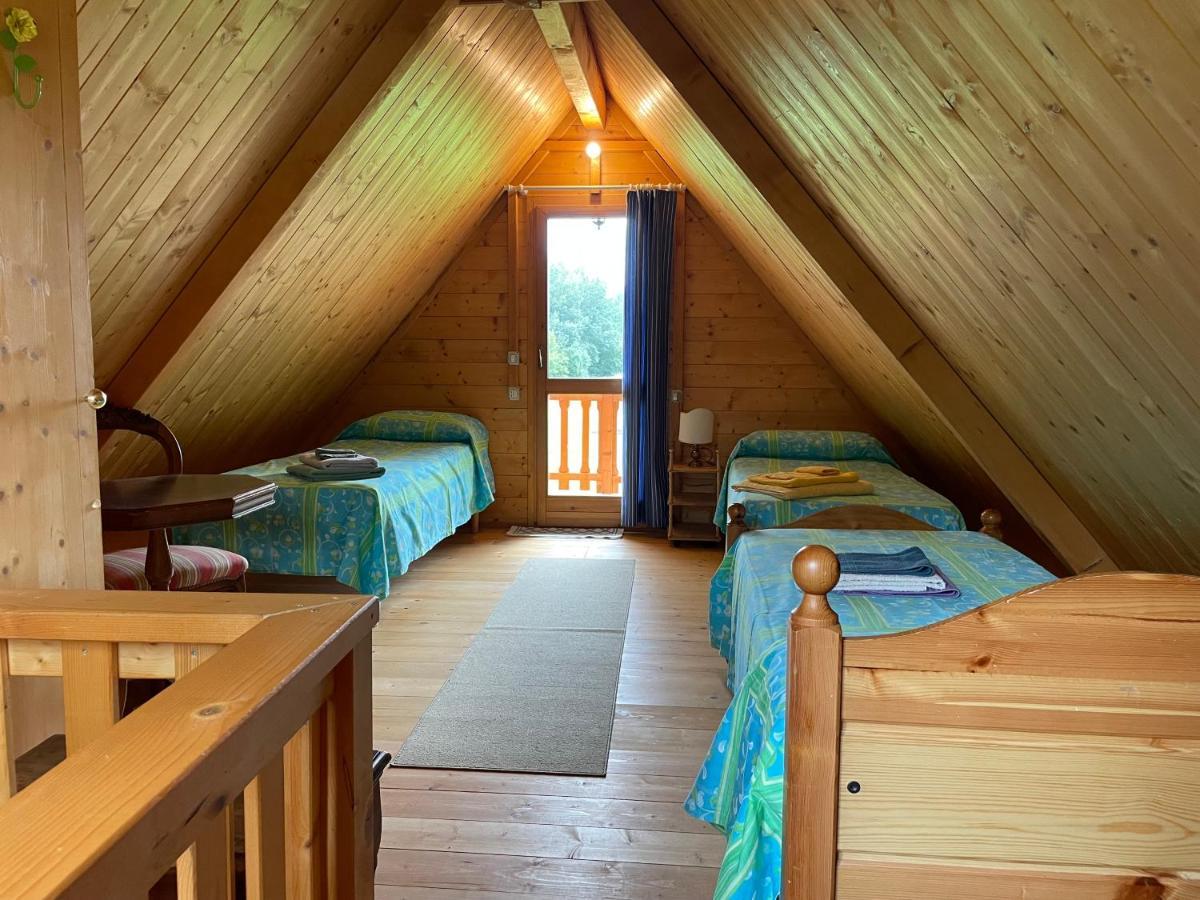 Agri Camp Dolomiti Apartment Belluno Bagian luar foto