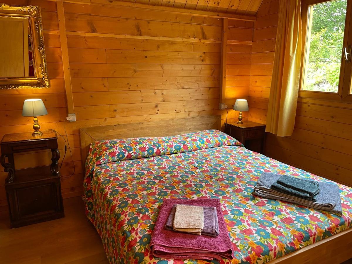 Agri Camp Dolomiti Apartment Belluno Bagian luar foto
