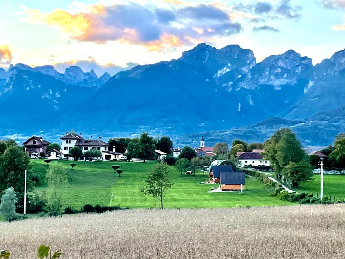 Agri Camp Dolomiti Apartment Belluno Bagian luar foto