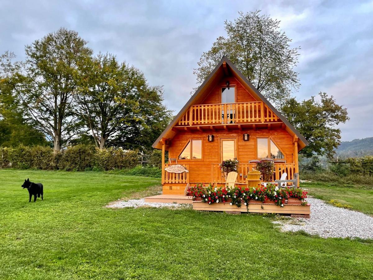 Agri Camp Dolomiti Apartment Belluno Bagian luar foto