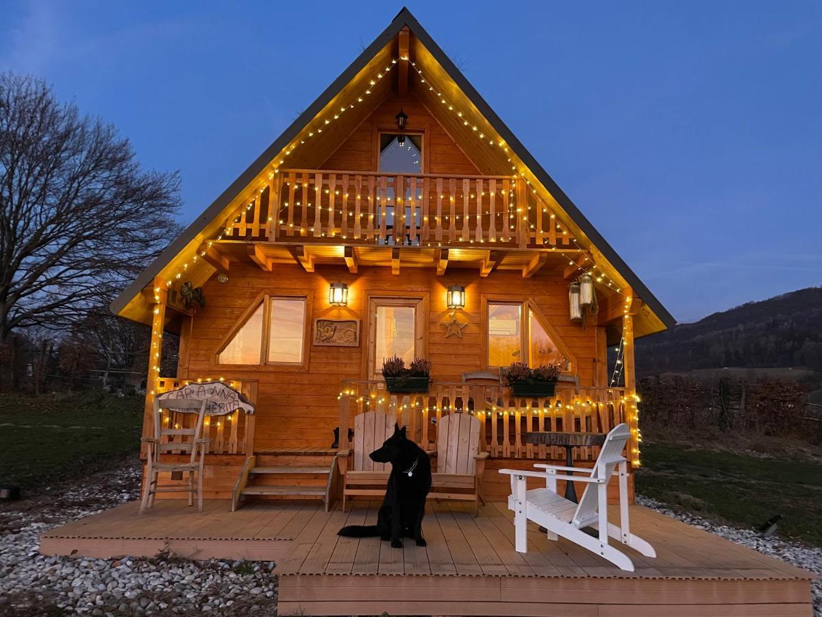 Agri Camp Dolomiti Apartment Belluno Bagian luar foto