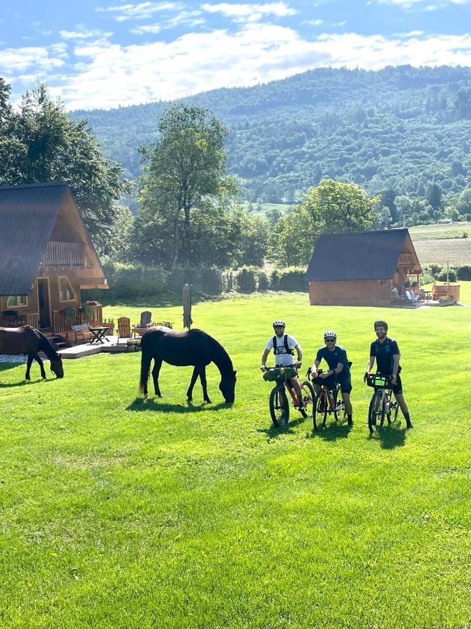 Agri Camp Dolomiti Apartment Belluno Bagian luar foto