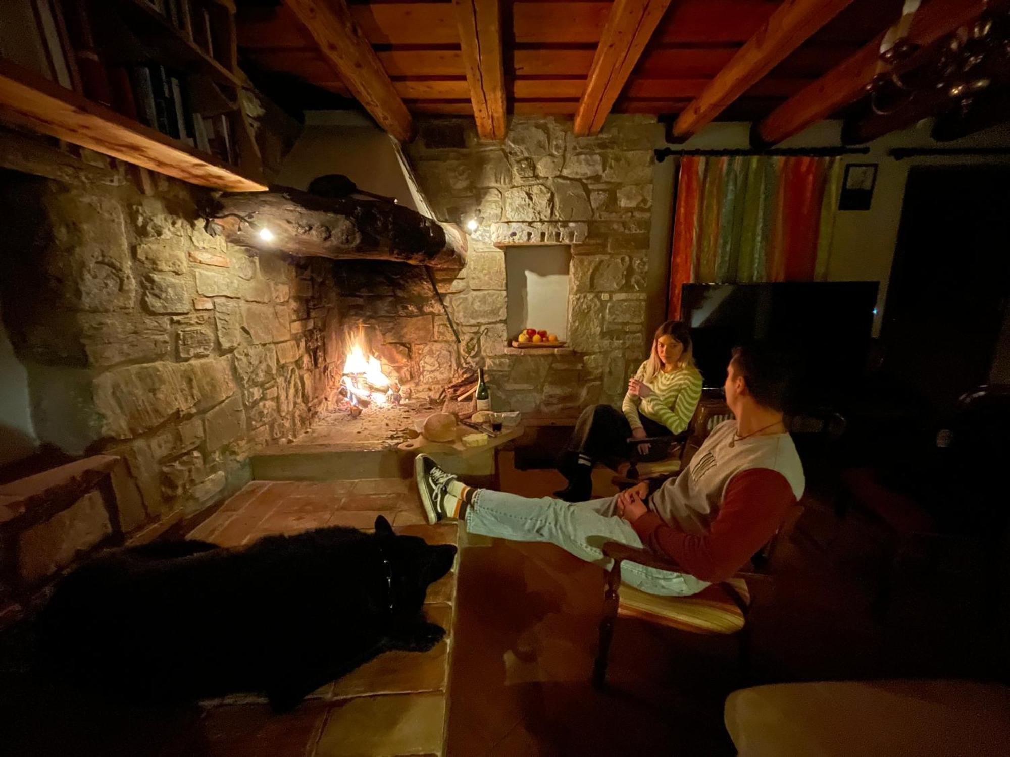 Agri Camp Dolomiti Apartment Belluno Bagian luar foto