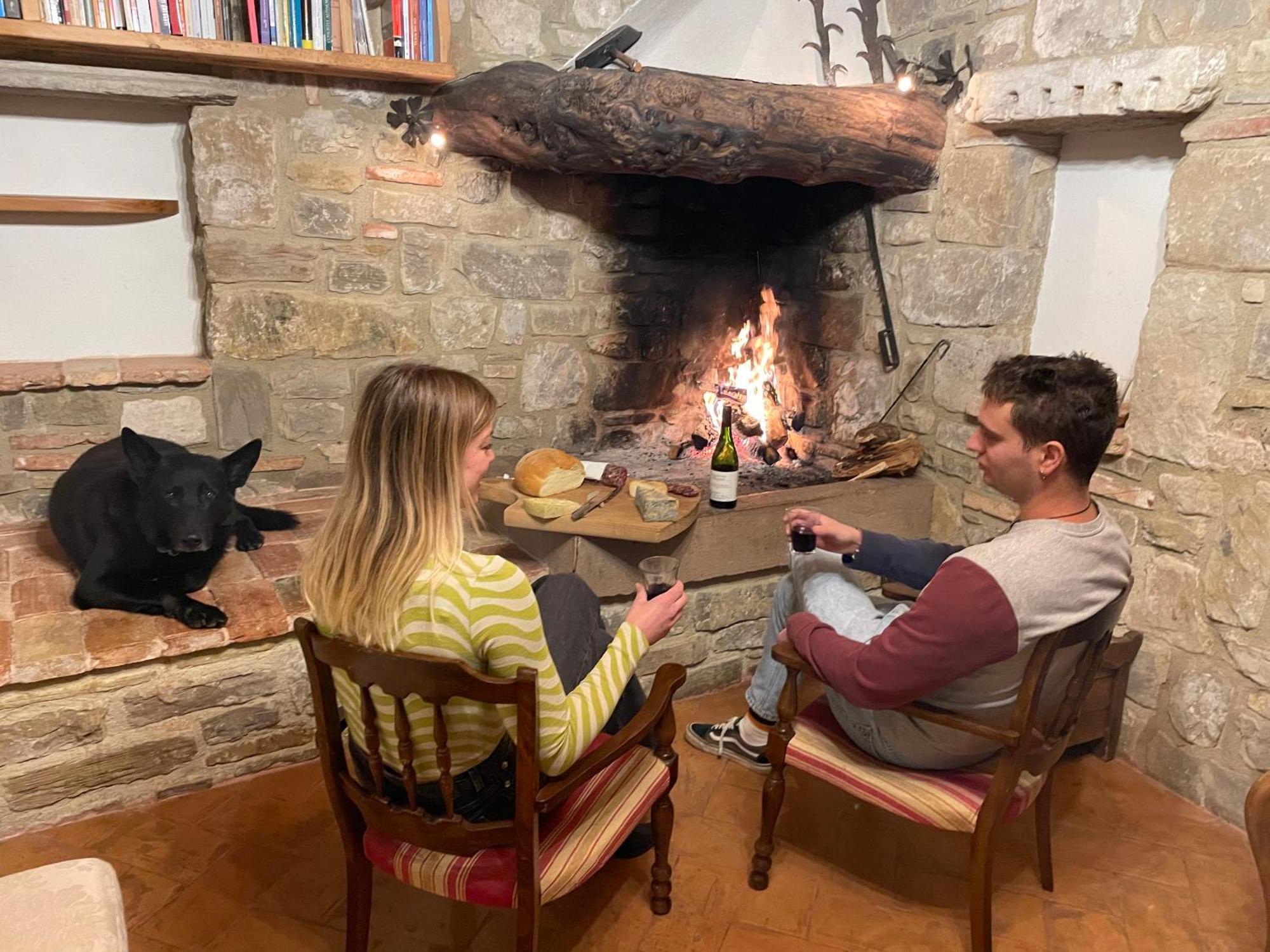 Agri Camp Dolomiti Apartment Belluno Bagian luar foto