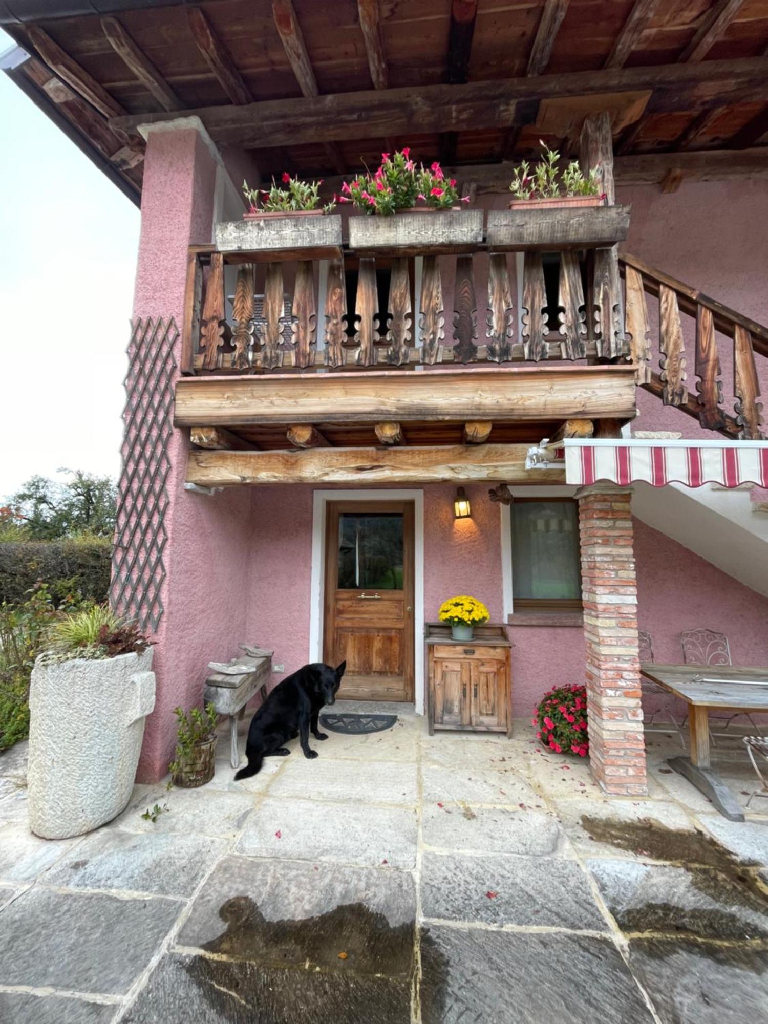 Agri Camp Dolomiti Apartment Belluno Bagian luar foto